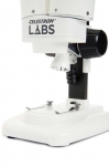 Микроскоп Celestron Labs S20 (20х)