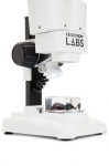 Микроскоп Celestron Labs S20 (20х)