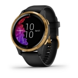 Смарт-часы Garmin Venu черные с золотистым безелем