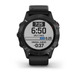 Смарт-часы Garmin Fenix 6 Pro черные с черным ремешком