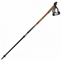 Палки для скандинавской ходьбы Vipole Instructor Vario Top-Click Red DLX S1855