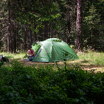 Палатка Vango Tay 400 Treetops