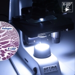 Микроскоп Optika B-155R-PL 40x-1000x Mono Rechargeable